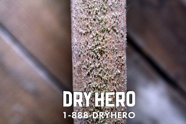 Tracker Home Inspection & Consulting