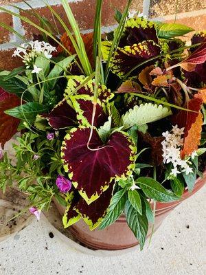 Local Landscapes By Wendy Ewing & Sons