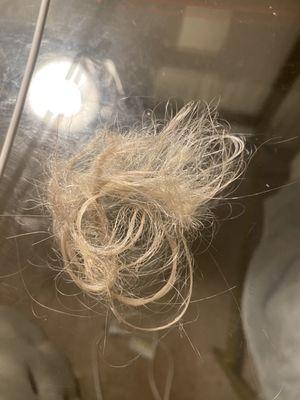 Hair loss after the service