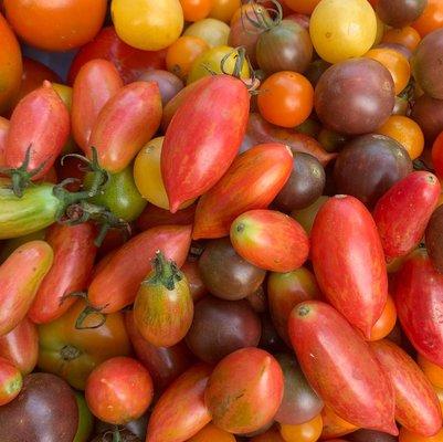 Beaver Creek Game Farms