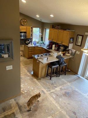 Thank you Bruce and your team at Cap Carpet & flooring. We're loving it.