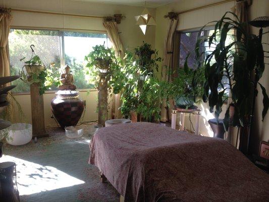 Vance Bleaux Myopractics