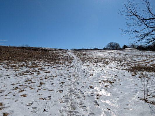 2/22/2025 Don't recommend hiking.