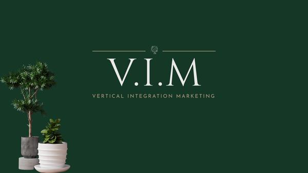 V I M Agency