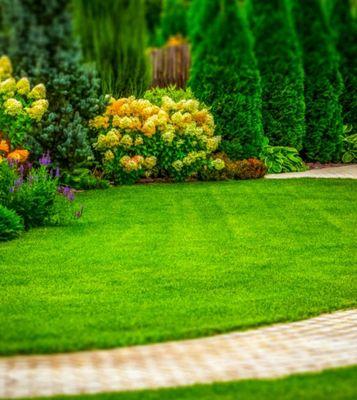 Grass From A Local Customer Of Mine