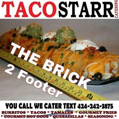 Taco Starr