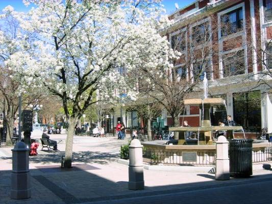 Lincoln Square Ravenswood Chamber of Commerce