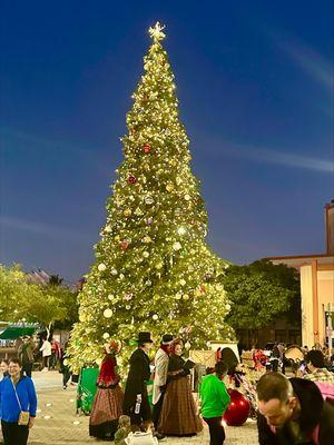 Scenes from Tree Lighting Ceremony