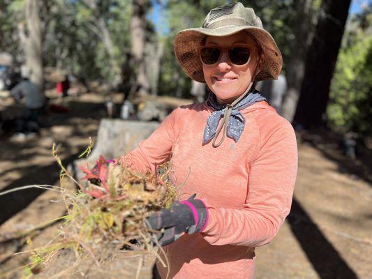 Kindling needed for fire