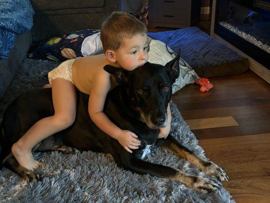 McFadden Michelle DVM