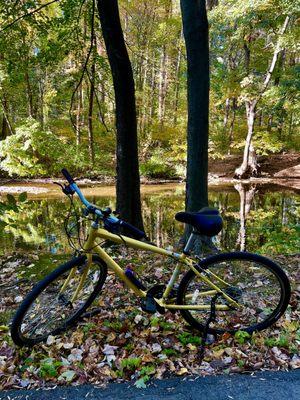 Bustleton Bikes