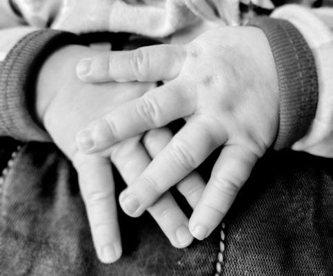 The Growing Tree Childcare Center