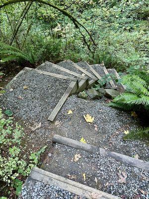 Woods Memorial Natural Area