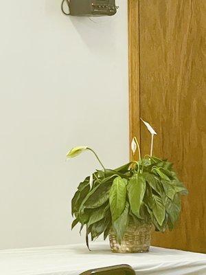 T.j.'s Ceramics, Flowers & Gifts