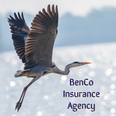 Property & Casualty Independent Agency located in Moss Bluff, LA