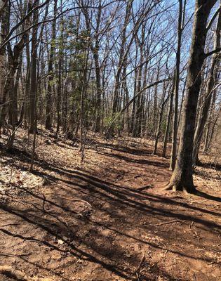 Metacomet Trail