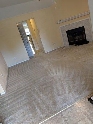 Metroplex Steam Cleaning