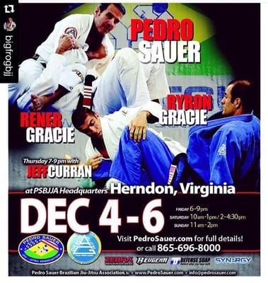 Pedro Sauer World Conference 2015