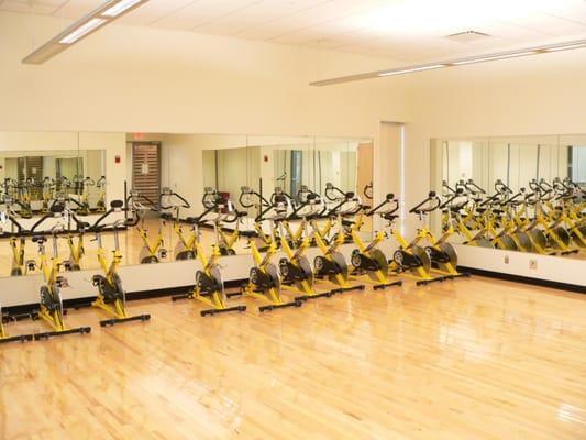 There are two multipurpose rooms with impact-cushioned wooden athletic floors, with mirrors and sound systems, and are available to rent.