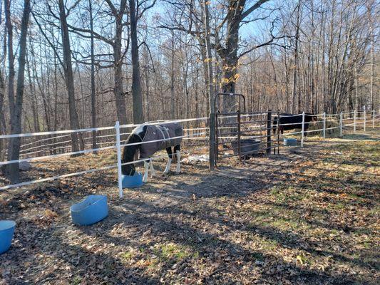 Woodland Hills Equestrian Center
