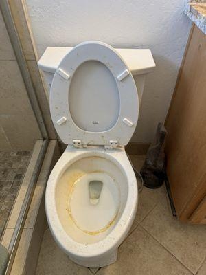 Rafaela's Cleaning Services