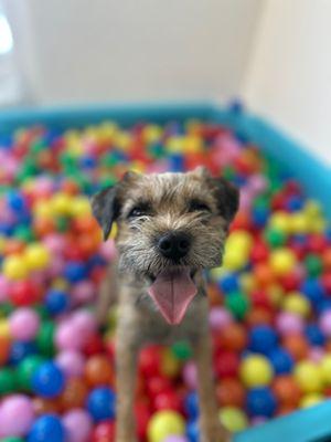 Did somebody say ball pit?