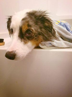 Vinny Loves Bath Time