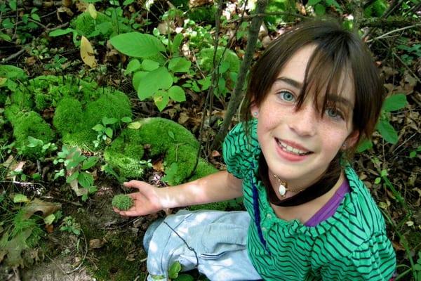 Nature's Classroom Institute and Montessori School