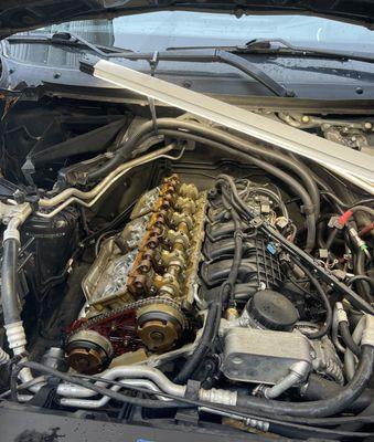 Palmetto Elite Automotive