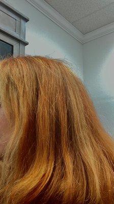 Photo does not do justice to the orange color she put in my hair. I looked like a pumpkin!
