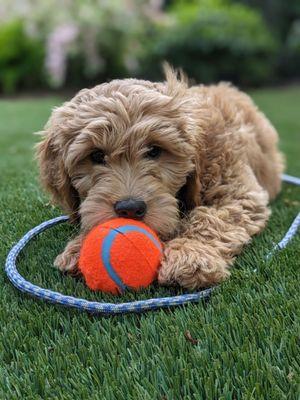 Thanks for helping me learn a lot, Beth!