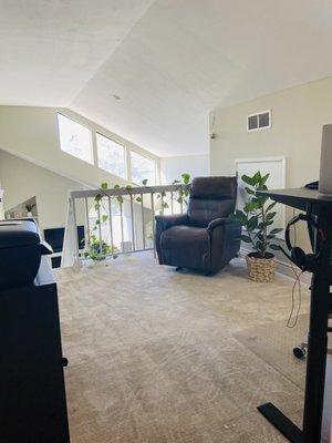 Fast Green Carpet Clean