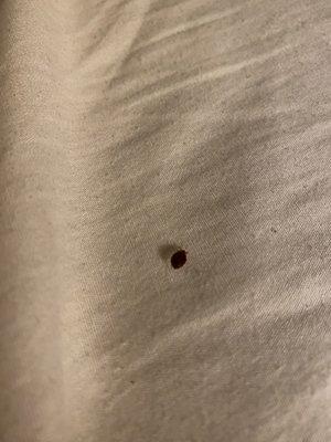 Motel 6-Washington DC - Convention Center