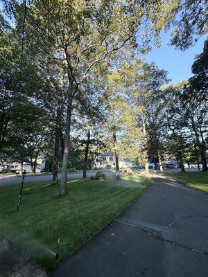 All American Tree Care