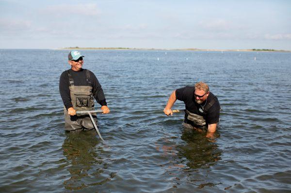 Cherrystone Aqua Farms