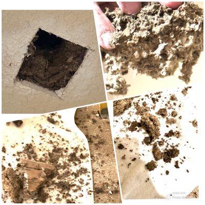 Limestone Country Properties