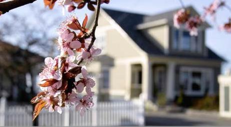 All West Appraisal Service