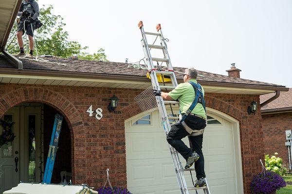 Skedaddle Humane Wildlife Control