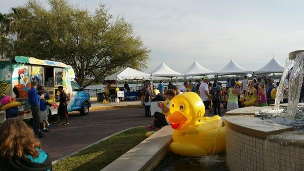 Quack Attack 5k