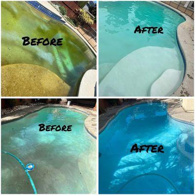 DAAP Pool Services