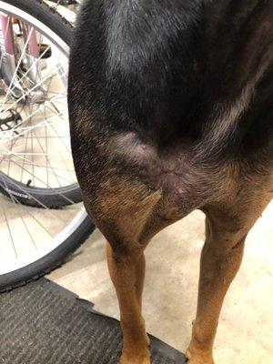 Garden Park Animal Clinic