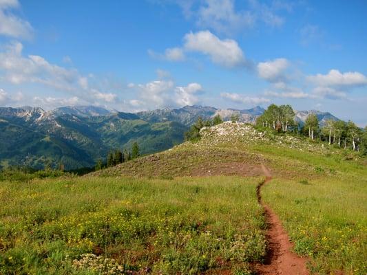 Inspired Summit Adventures