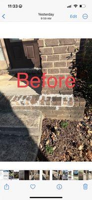 Wilson Repair & Maintenance