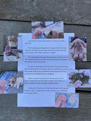 Unbelievable kindness by hotel staff to a young guest who left her bunny behind!!