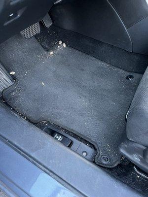 Smilky’s Mobile Detailing