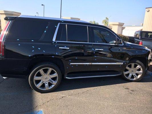 Quality Paint & Body