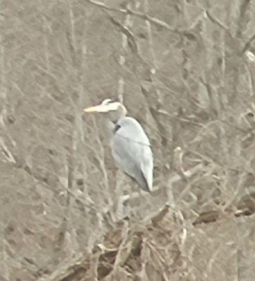 Leeman Field Park, RV Park and Walking Trail