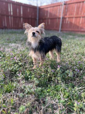 Parkway Animal Hospital