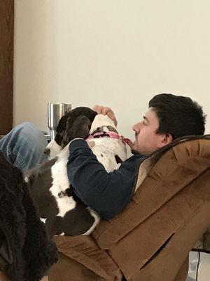 Dawn's Golden Paw Pet Sitting Services