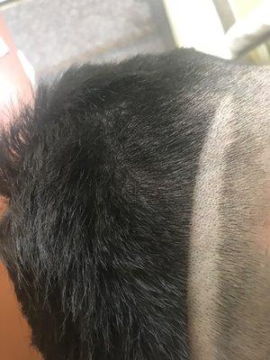 Supposed to be a line I'll let this speak for itself